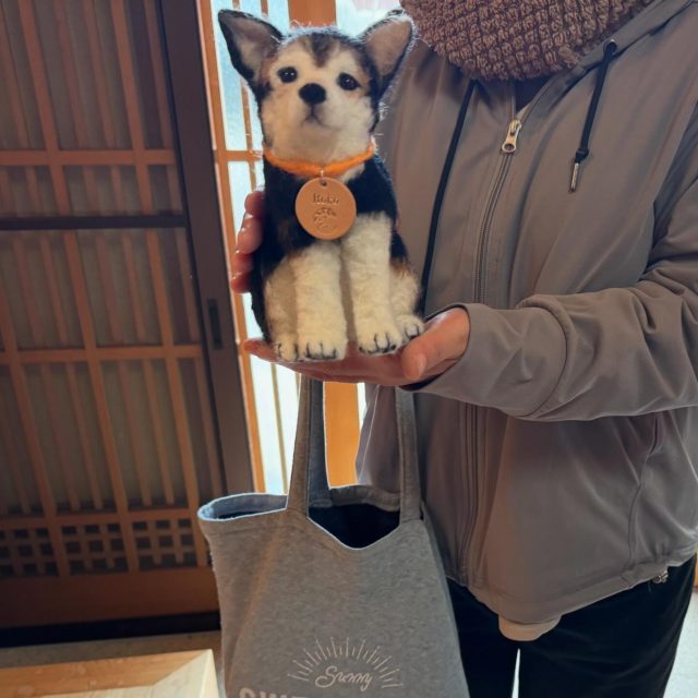 先日納骨させていただいた、ロコちゃんのぬいぐるみをお渡しさせていただきました🍀  ロコちゃんが帰ってきたみたいだと涙ながらに喜んでいただけました🥲  @nyanjunx2 さんありがとうございました🙏  #ペット#ペット供養#法恩寺#出雲#オリジナルぬいぐるみ#犬#猫#家族