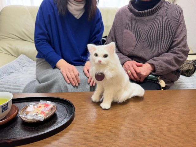 法恩寺に納骨いただいている、
にゃんこのネロちゃんのオリジナルぬいぐるみが完成し、お渡しさせていただきました🐈✨  特徴を捉えて作成いただき感謝です🙏  飼い主さんにも大変喜んでいただきました❗️  これもひとつの供養のかたち。  ネロちゃんも喜んでくれているはずです🍀  #オリジナルぬいぐるみ#法恩寺#出雲#ペット供養#ペット納骨#どうぶつ供養#陽なた#お彼岸